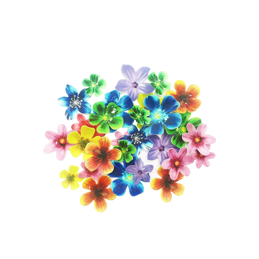 Edible Flowers