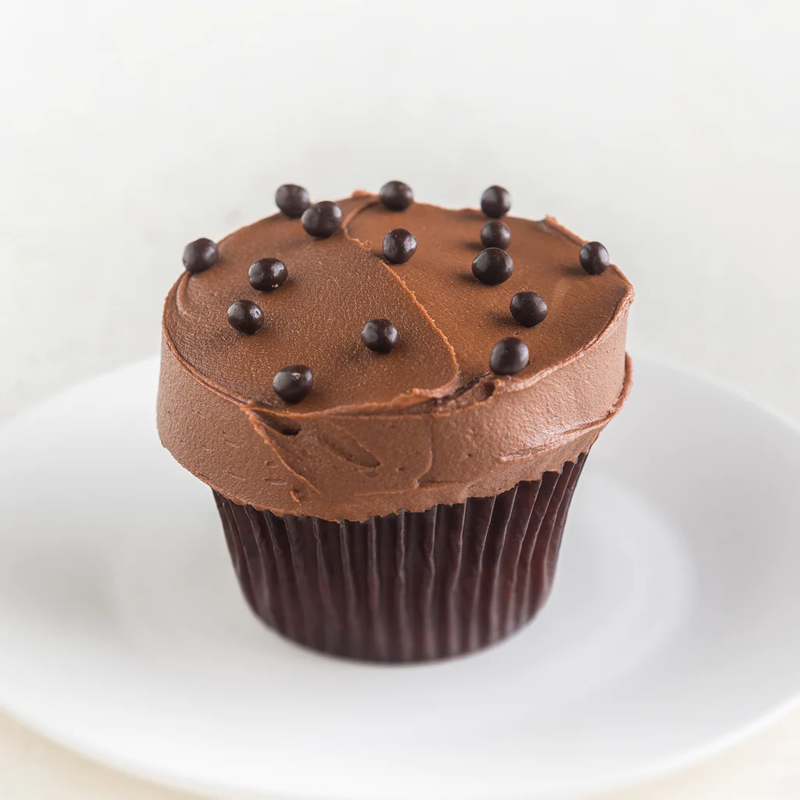 Vanilla Chocolate Frosting Cupcake